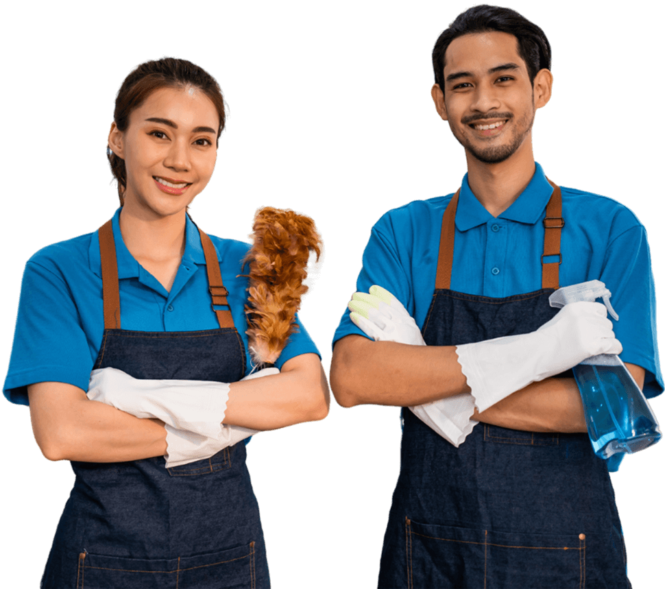 limpieza profesional