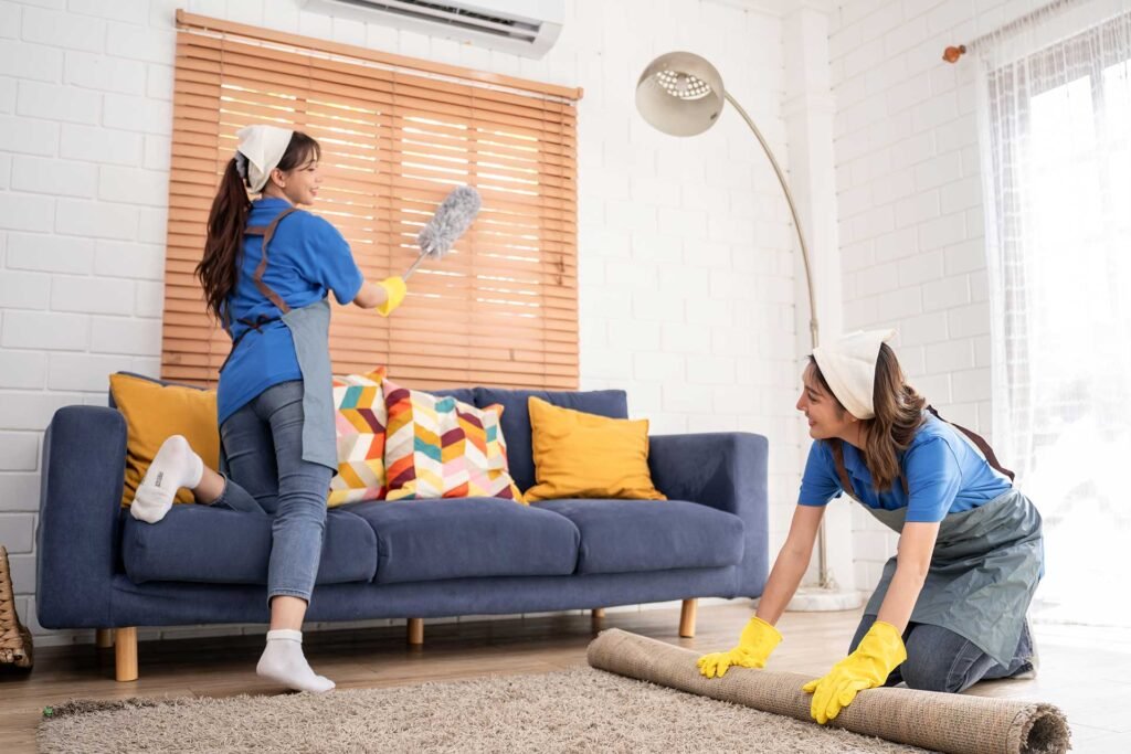 limpieza profesional